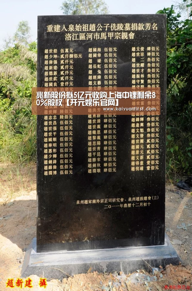 兆新股份拟5亿元收购上海中锂剩余80%股权【开元娱乐官网】(图2) 开元娱乐