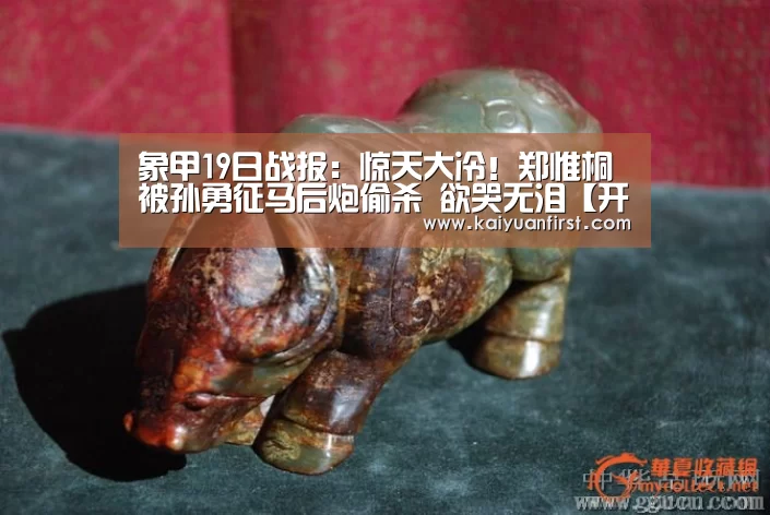 象甲19日战报:惊天大冷!郑惟桐被孙勇征马后炮偷杀 欲哭无泪【开元娱乐直播】(图3) 开元娱乐直播